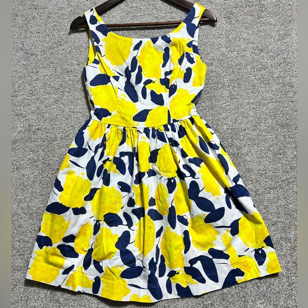 Blithe New York Woman’s Yellow and Blue Floral Fit and Flare Dress Size 2